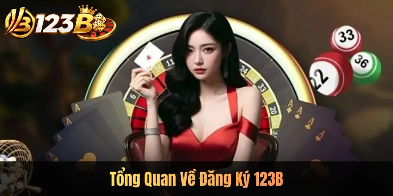 Tổng Quan Về Đăng Ký 123B