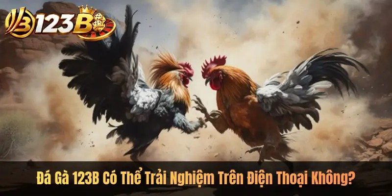 Đá Gà 123B Có Thể Trải Nghiệm Trên Điện Thoại Không?