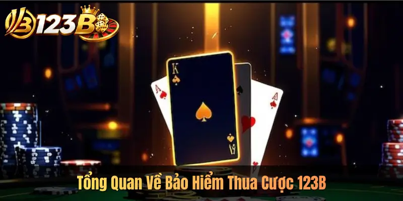 Tổng Quan Về Bảo Hiểm Thua Cược 123B