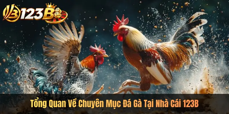Tổng Quan Về Chuyên Mục Đá Gà Tại Nhà Cái 123B